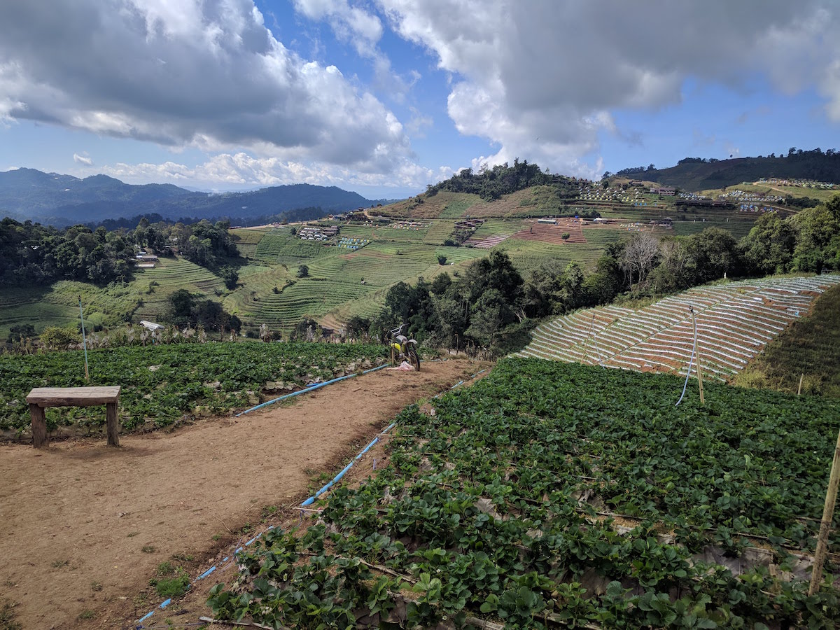 View of farm valley from one side of the ridge